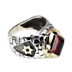 Rafael Jewelry Sterling Silver Ring with Yellow Gold Star of David and Jerusalem Motif & Garnet Star of David Jewelry