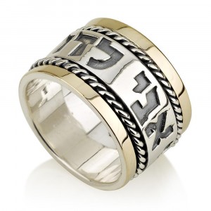 Ani Ledodi Spinning Ring in 14K Gold and Sterling Silver by Ben Jewelry Israeli Jewelry Designers