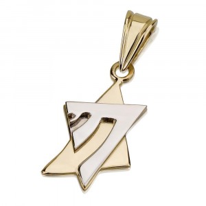 Star of David with Overlying Chai Pendant in 14k Yellow Gold Collares y Colgantes