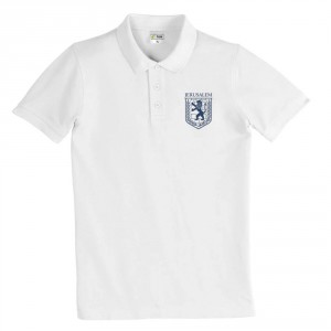 Jerusalem Emblem Polo Shirt (Variety of Colors) Camisetas Israelíes