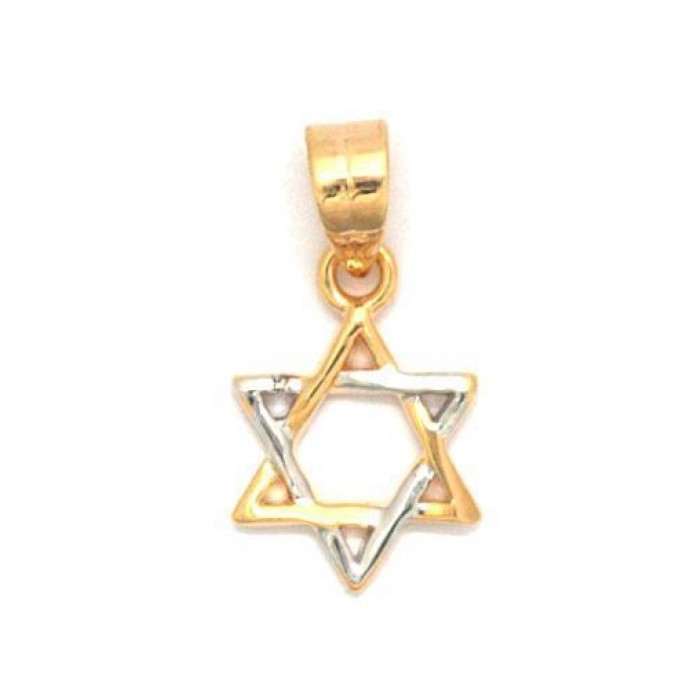 Traditional Rhodium and Gold Plated Star of David Pendant