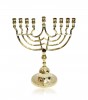 Hanukkah Menorah with Curved Candleholders in Gold
